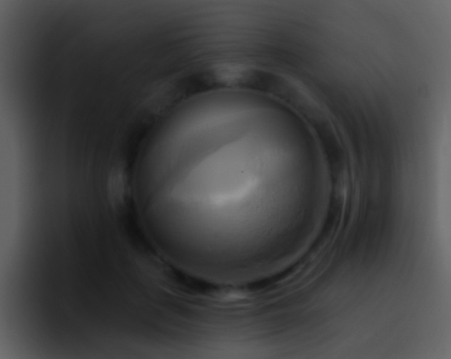 X0000095680651200801081230