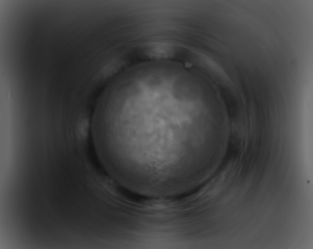 X0000095680652200801081230