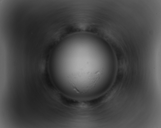 X0000095680656200801081230