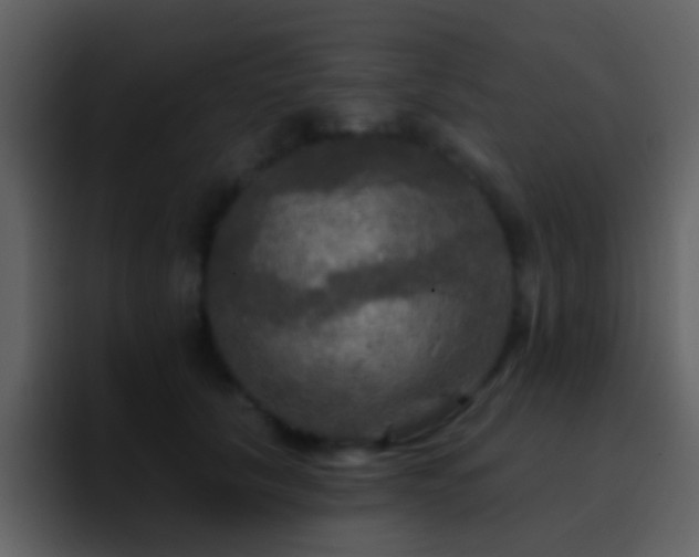 X0000095680657200801081230