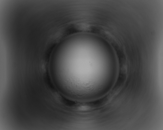 X0000095680658200801081230