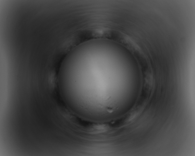 X0000095680659200801081230