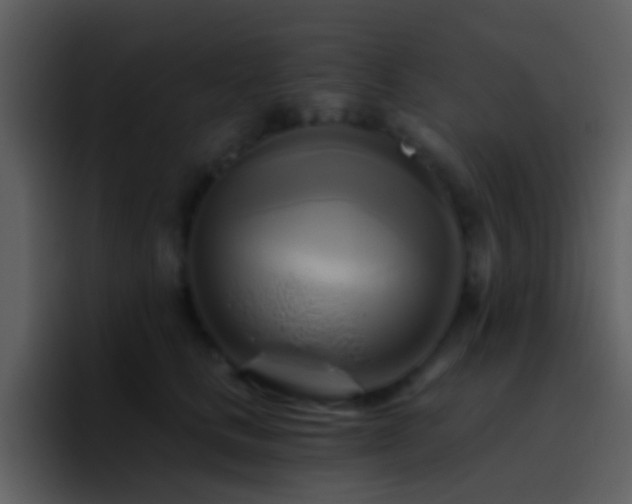 X0000095680661200801081230
