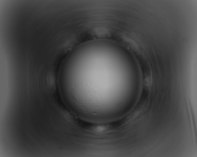 X0000095680662200801081230