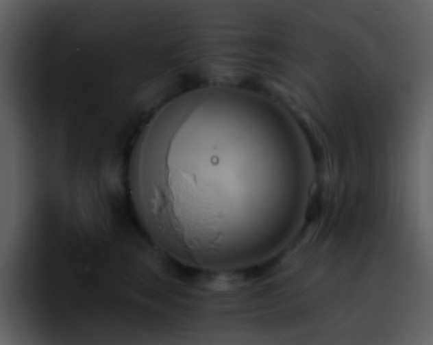 X0000095680663200801081230