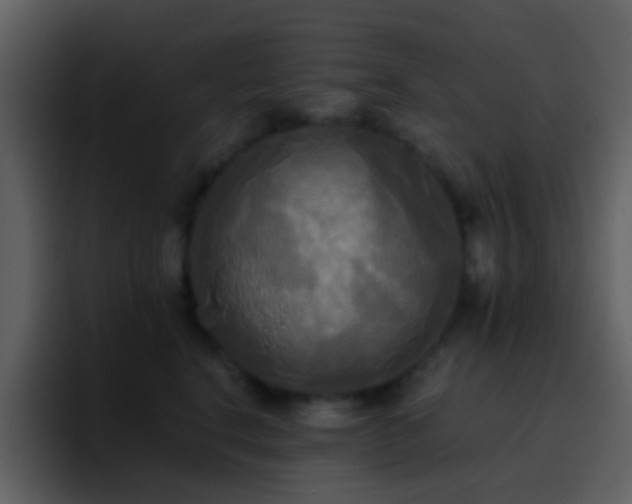 X0000095680664200801081230