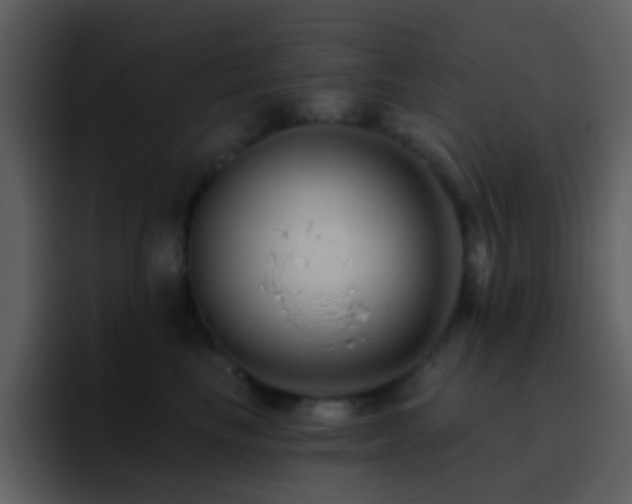 X0000095680665200801081230