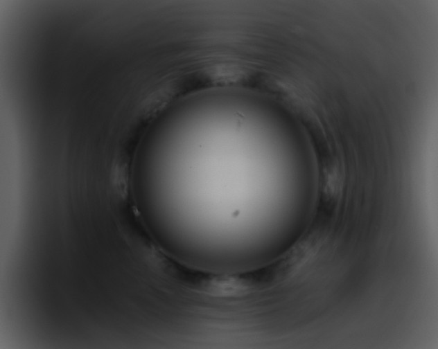 X0000095680666200801081230
