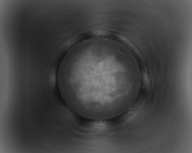 X0000095680668200801081230