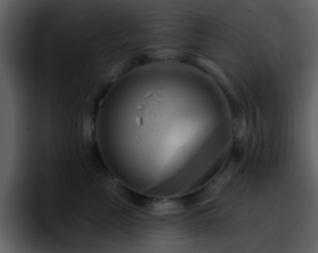 X0000095680669200801081230