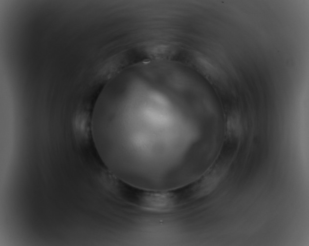 X0000095680671200801081230