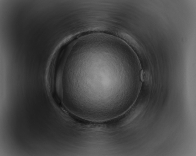 X0000095680676200801081229