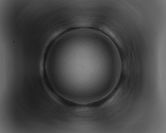X0000095680677200801081229