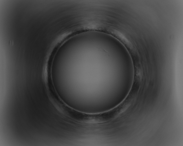 X0000095680678200801081229