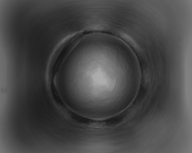 X0000095680680200801081229