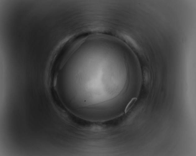 X0000095680684200801081229