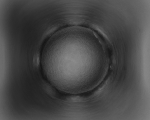 X0000095680685200801081229