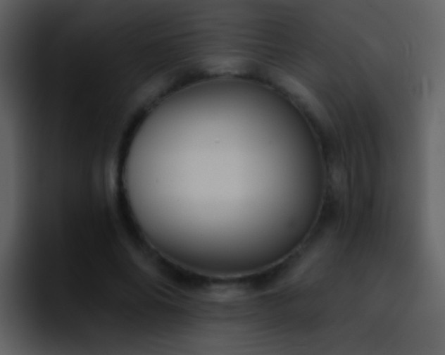 X0000095680686200801081229