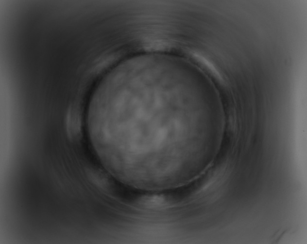 X0000095680687200801081229
