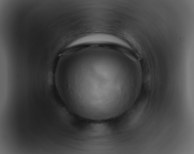 X0000095680689200801081229