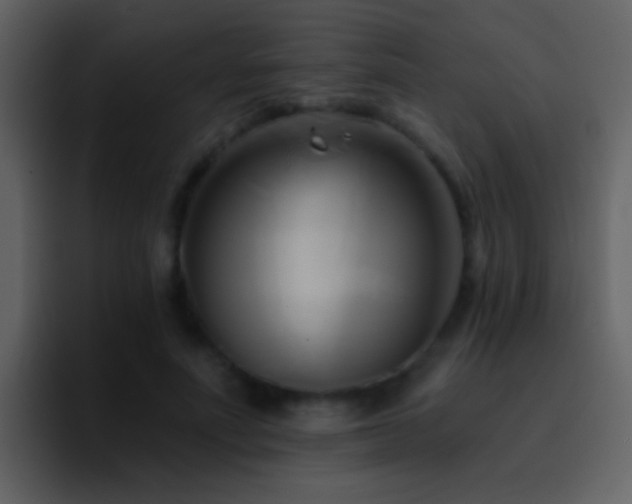 X0000095680691200801081229