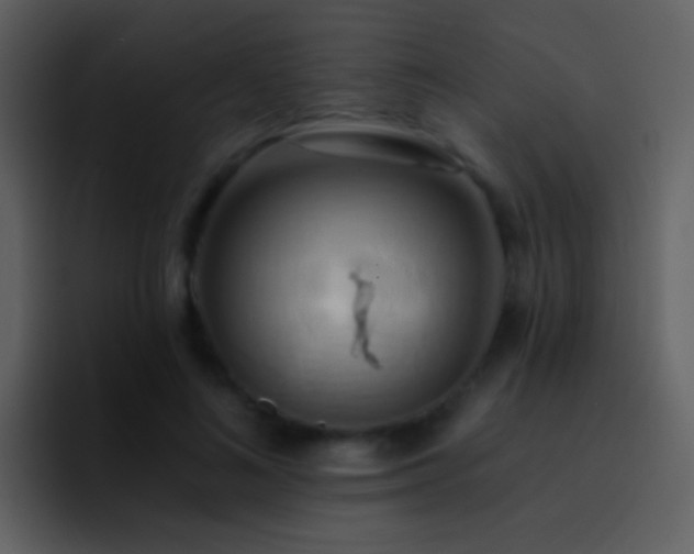 X0000095680692200801081229