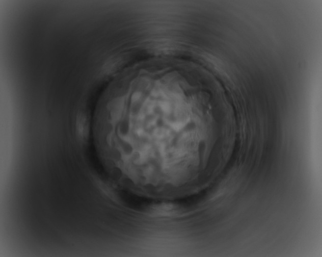 X0000095680695200801081229