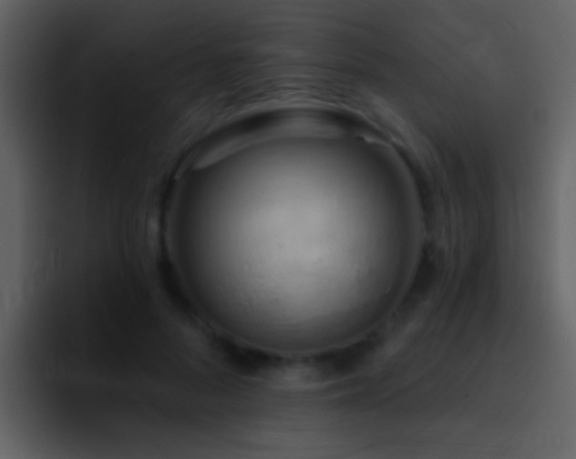 X0000095680696200801081229