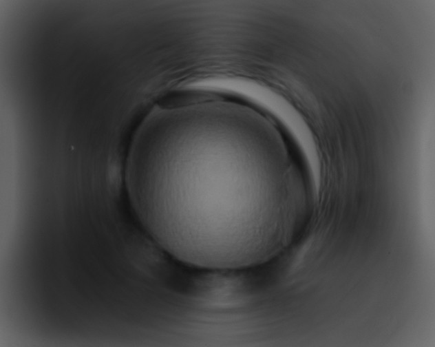 X0000095680697200801081229