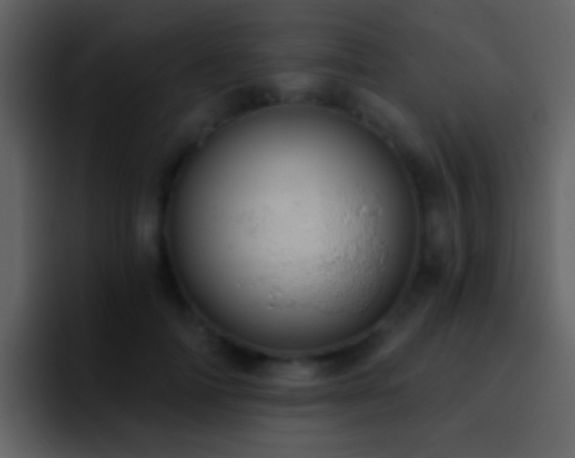 X0000095680698200801081229