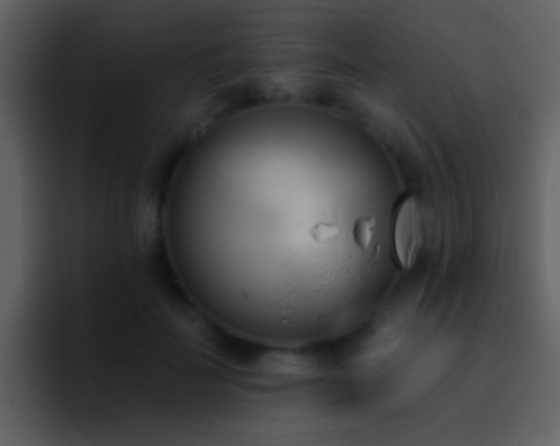 X0000095680699200801081229