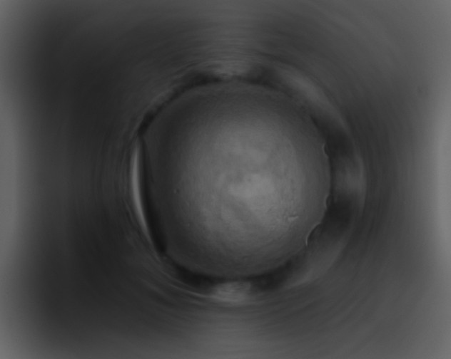 X0000095680700200801081229