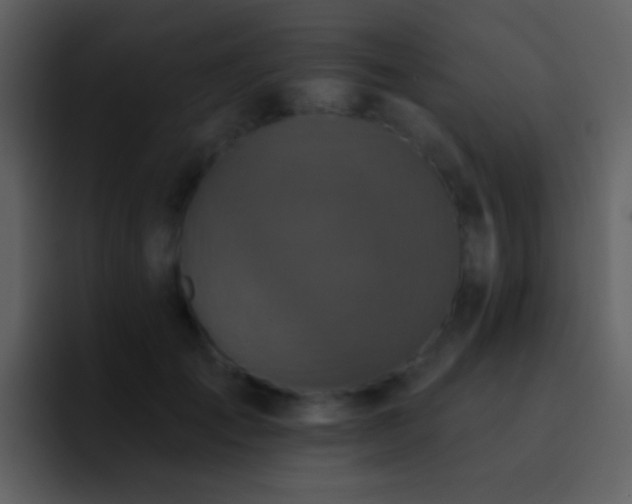 X0000095680701200801081229