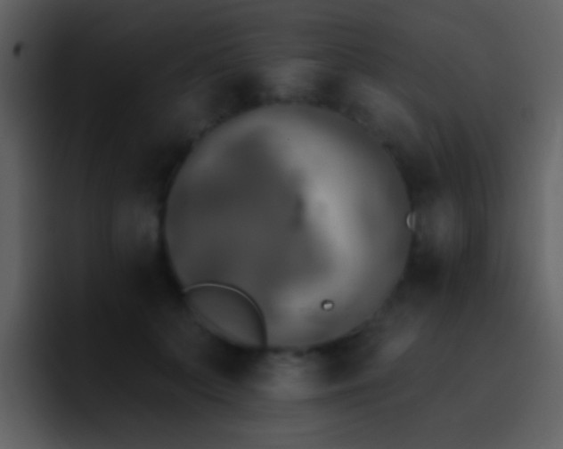 X0000095680703200801081229