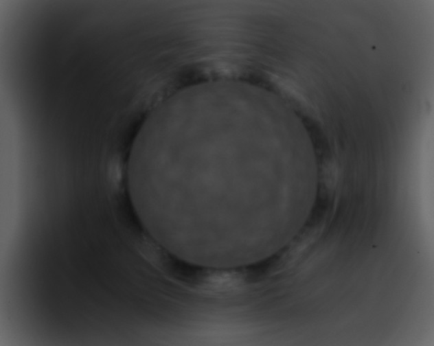 X0000095680709200801081229