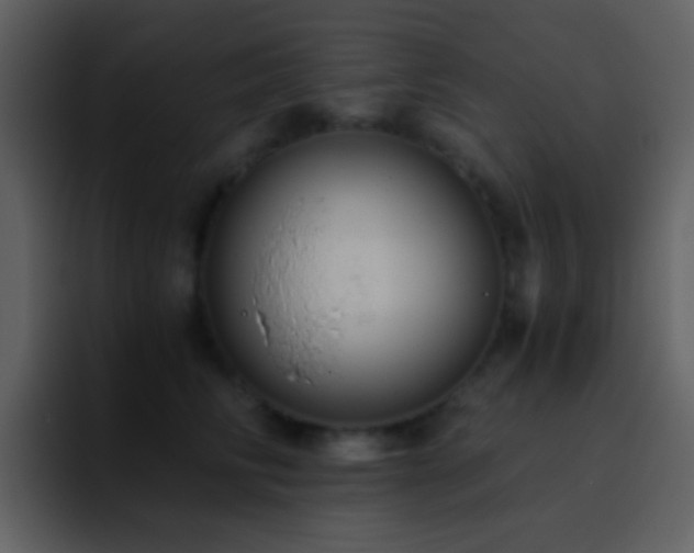 X0000095680710200801081229