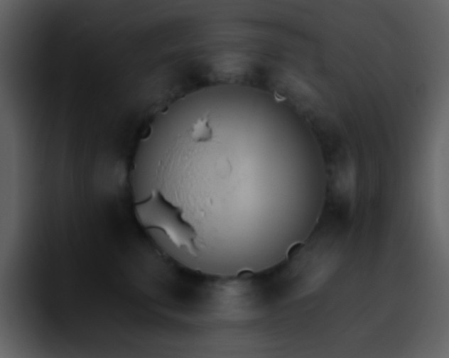 X0000095680711200801081229