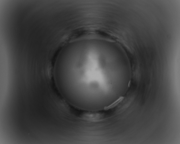 X0000095680712200801081229