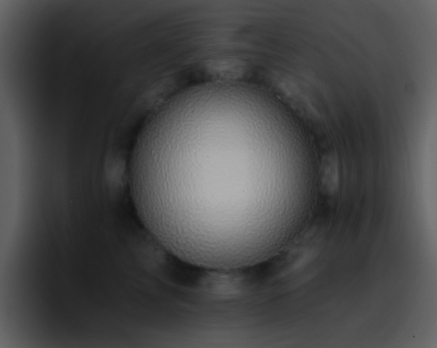 X0000095680713200801081229