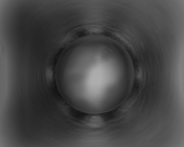 X0000095680715200801081229