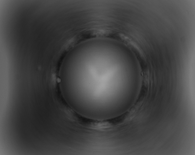 X0000095680716200801081229