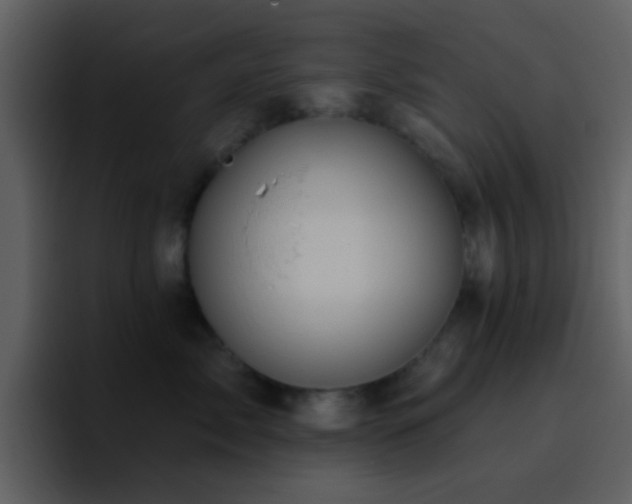 X0000095680717200801081229