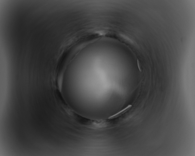 X0000095680720200801081229