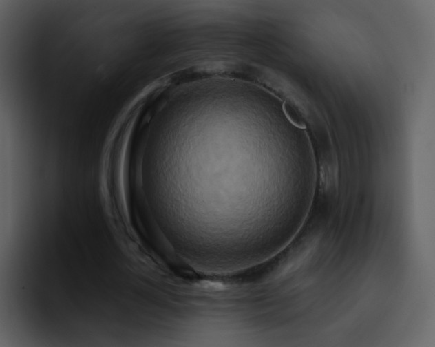 X0000095680724200801081228