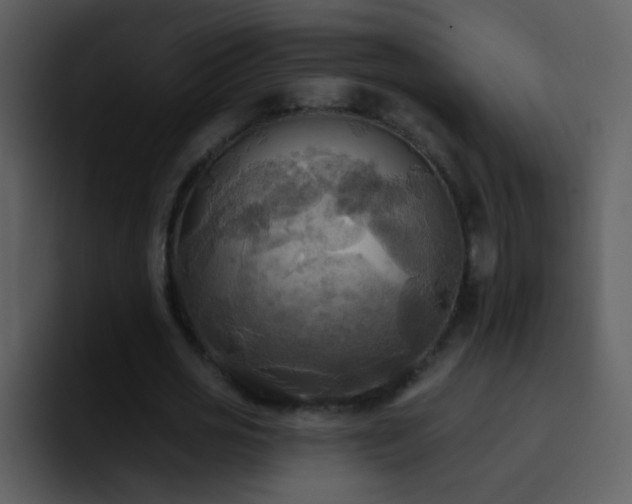 X0000095680725200801081228