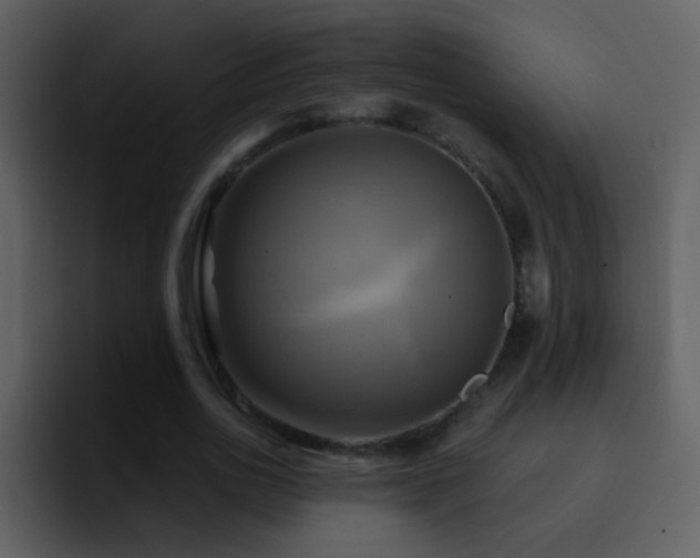 X0000095680726200801081228