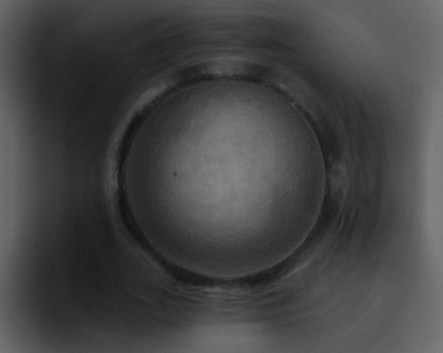 X0000095680727200801081228