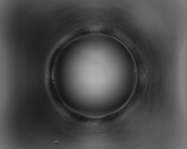 X0000095680728200801081228