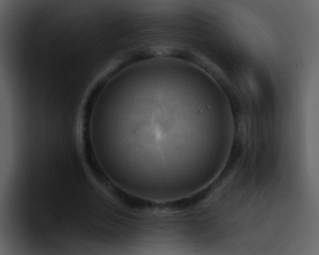 X0000095680730200801081228