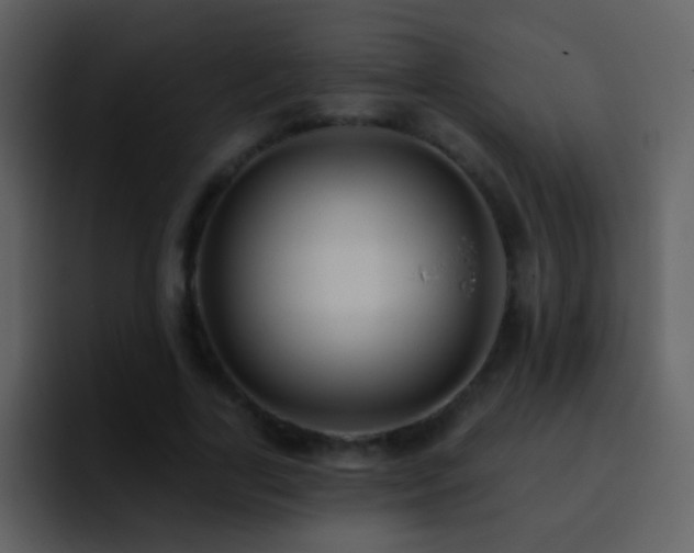 X0000095680731200801081228